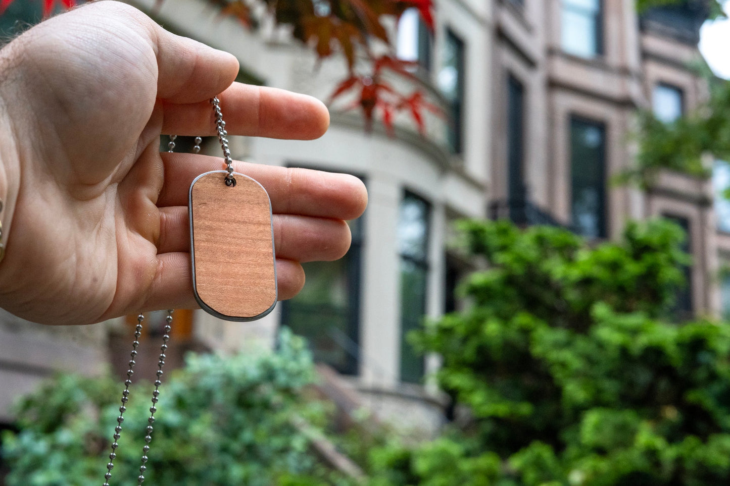 Pro Roe 1973 Dog Tag