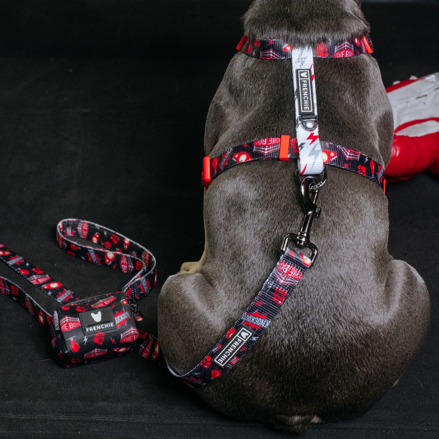 Frenchie Poo Bag Holder - Knockout