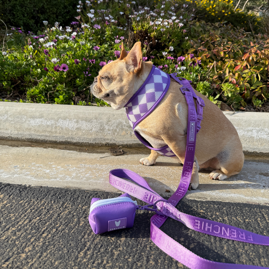 Frenchie Comfort Leash - Solid Purple