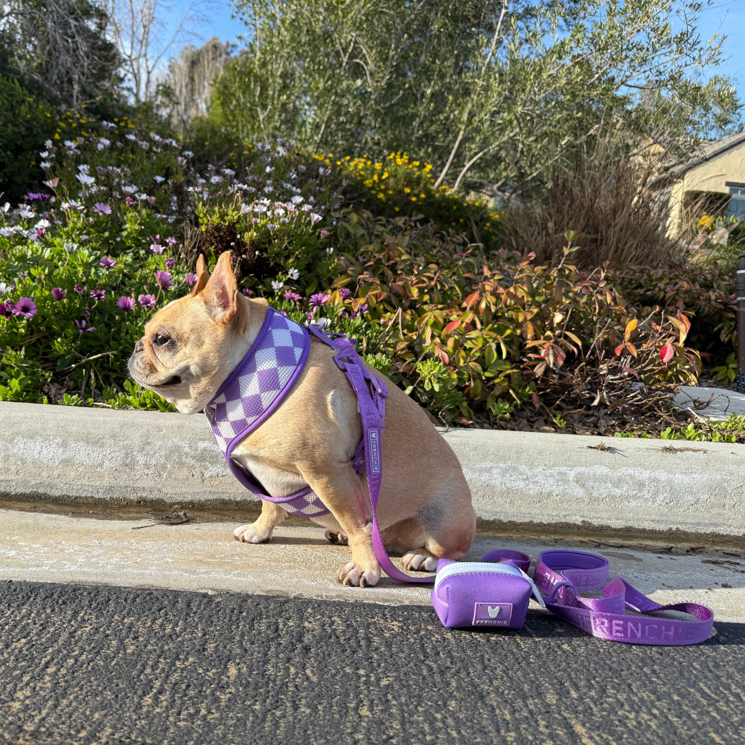 Frenchie Poo Bag Holder - Solid Purple