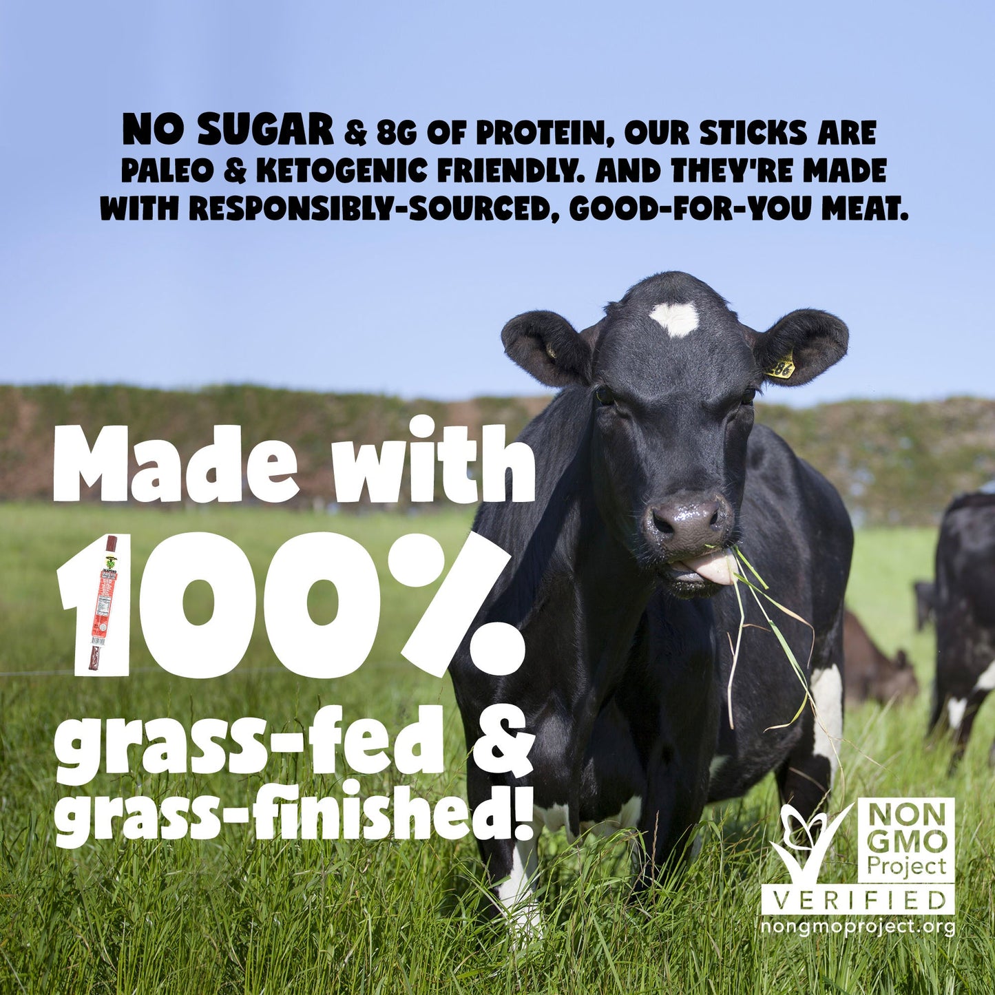 Jalapeño - 100% Grass-Fed Beef Sticks (No Sugar)