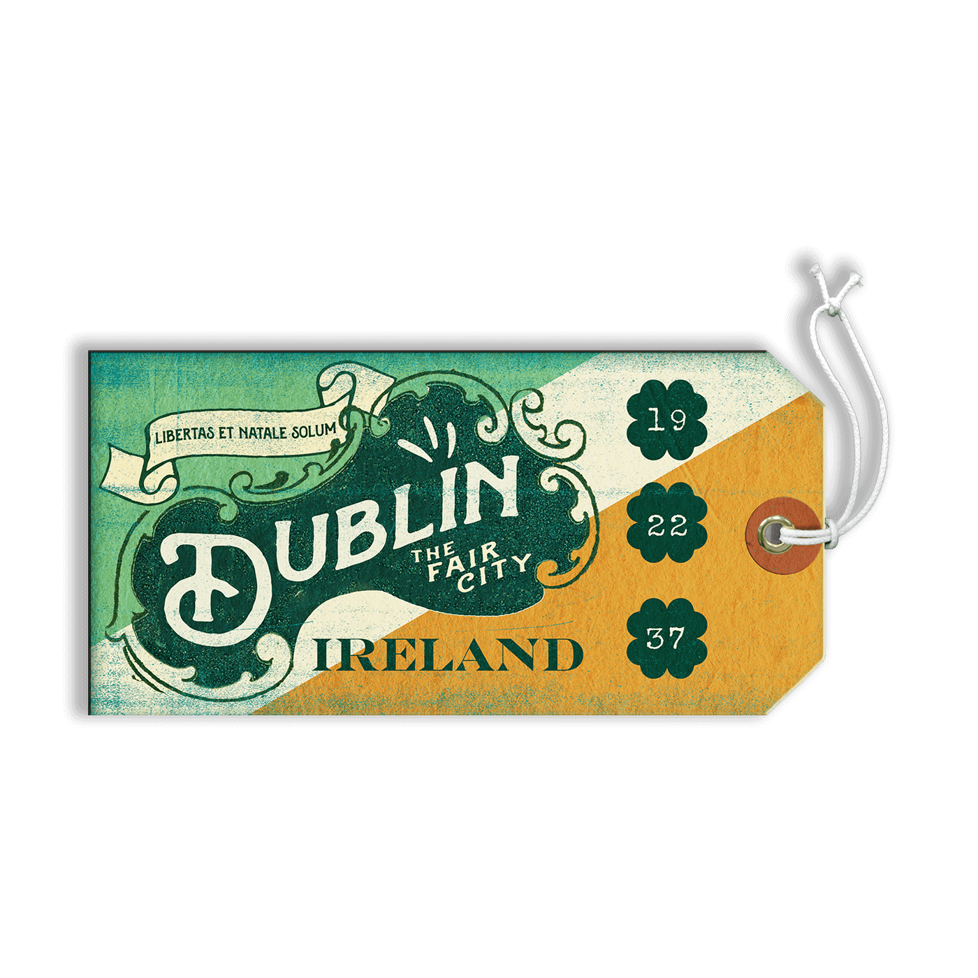 Dublin - Luggage Tag