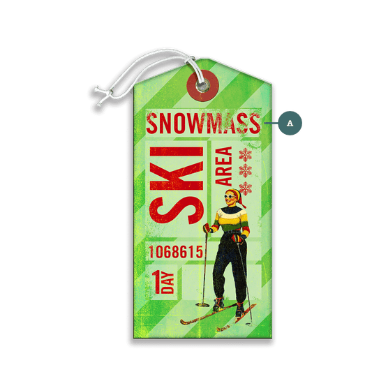 Green One Day Ski Pass - Luggage Tag