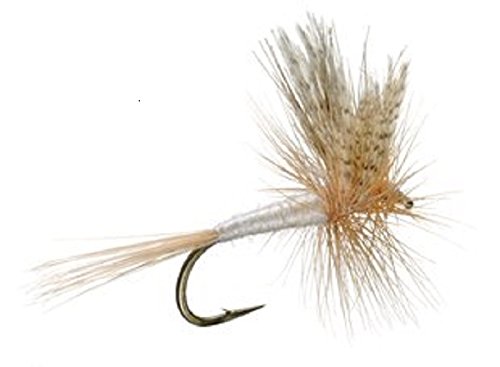 Light Cahill Classic Trout Dry Fly Fishing Fly - 1 Dozen Flies Size 20