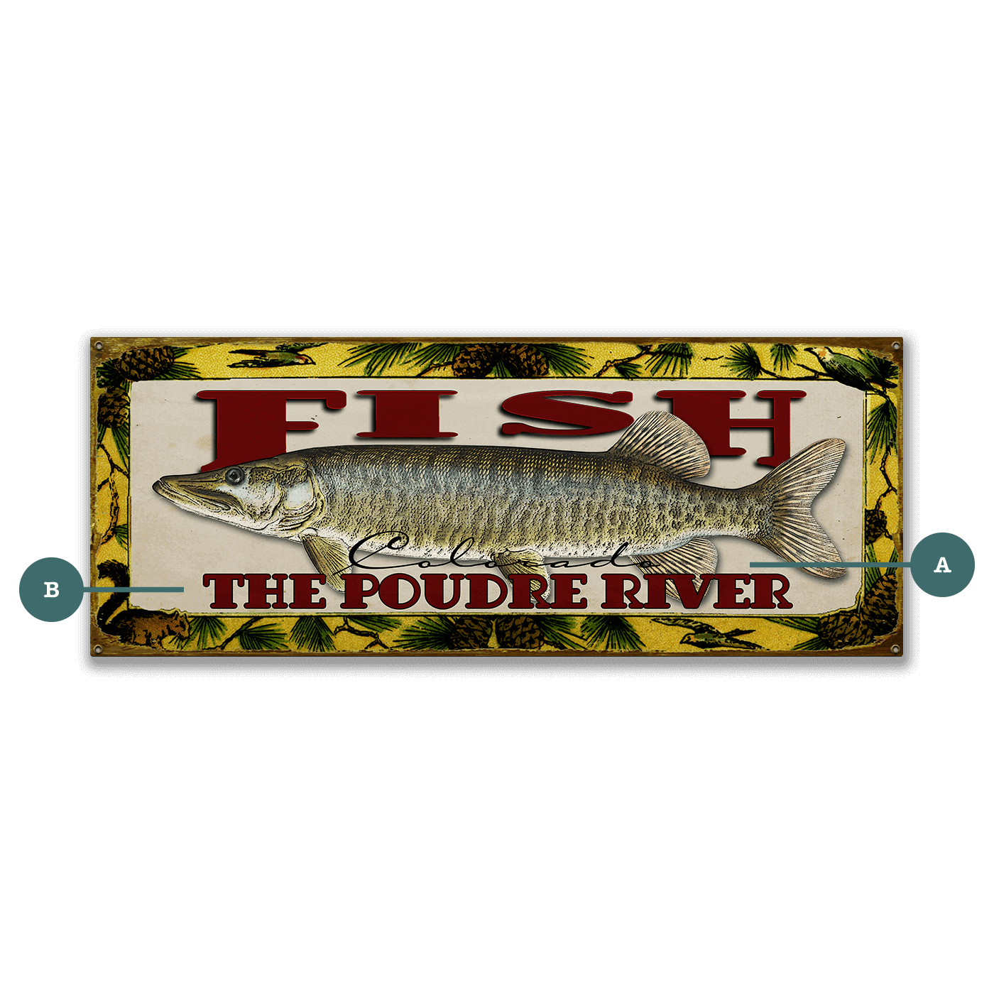 Catch of the Day Freshwater Fishing Sign Wall Decor