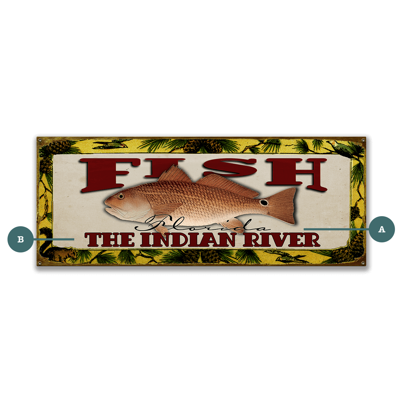 Catch of the Day Freshwater Fishing Sign Wall Decor