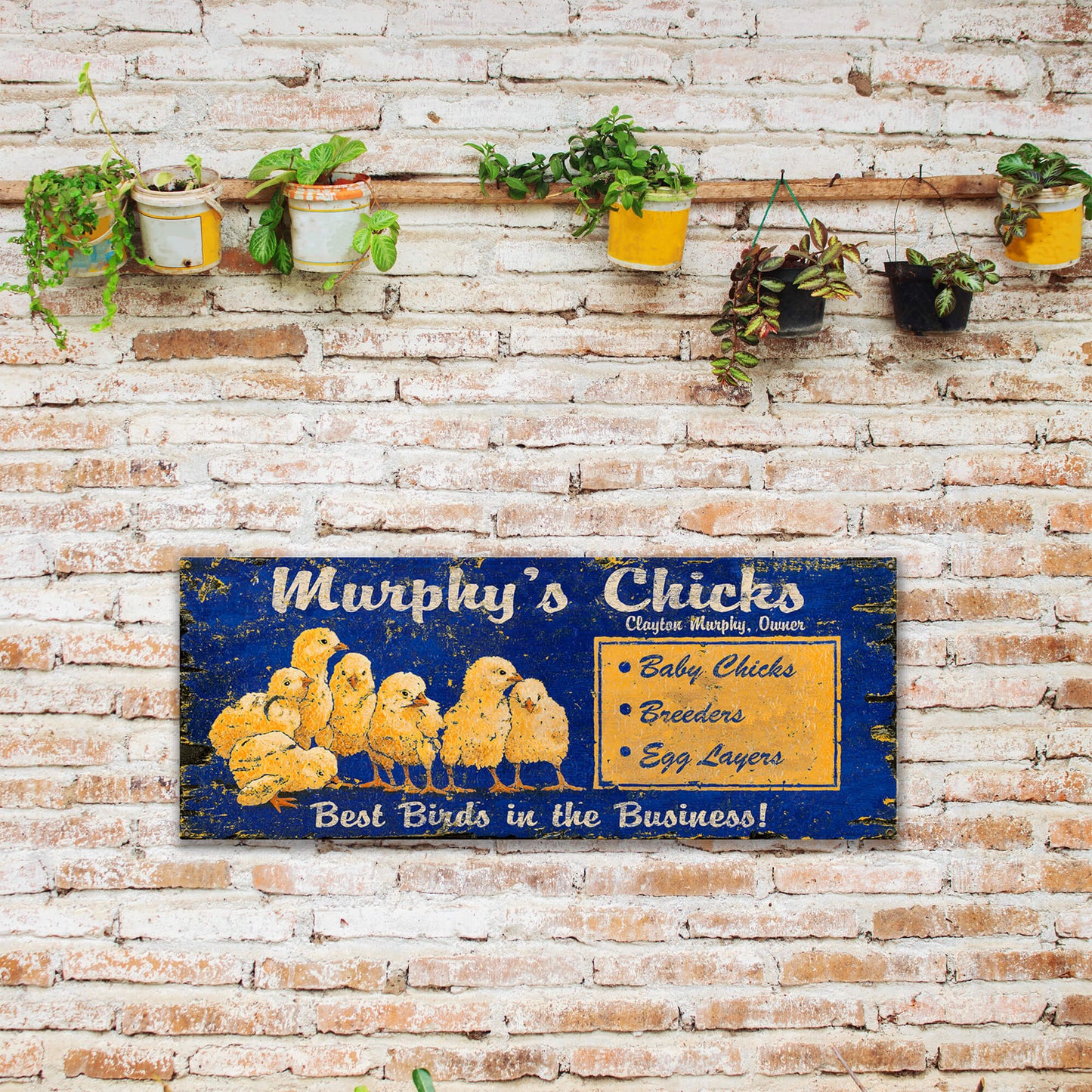 Murphy's Chicks - Wood & Metal Wall Art