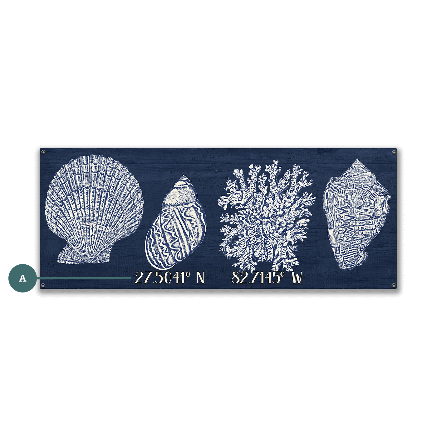 Seashell Latitude - Wood & Metal Wall Art