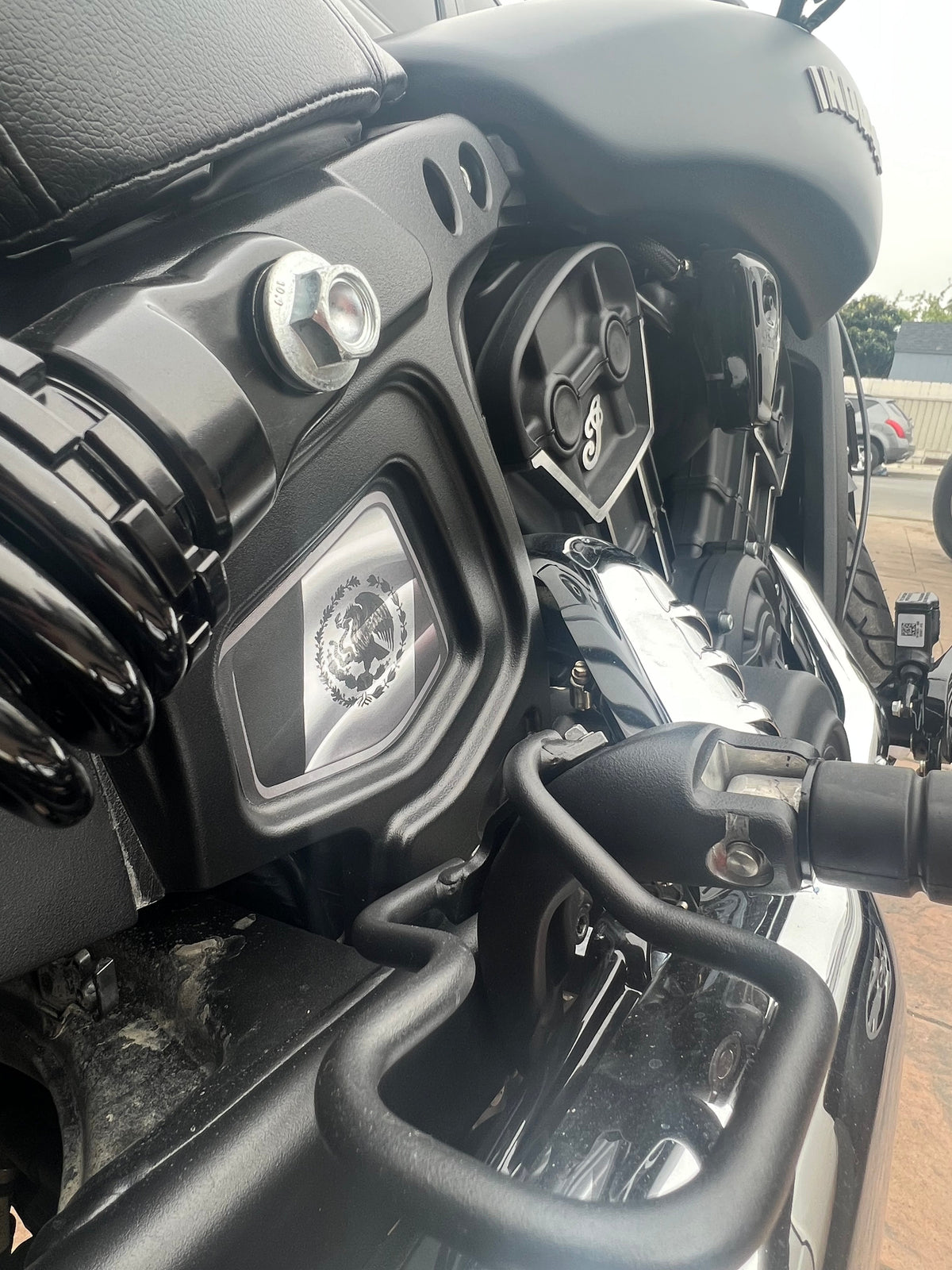 Indian Scout Mid-Frame Insert - Mexico Flag