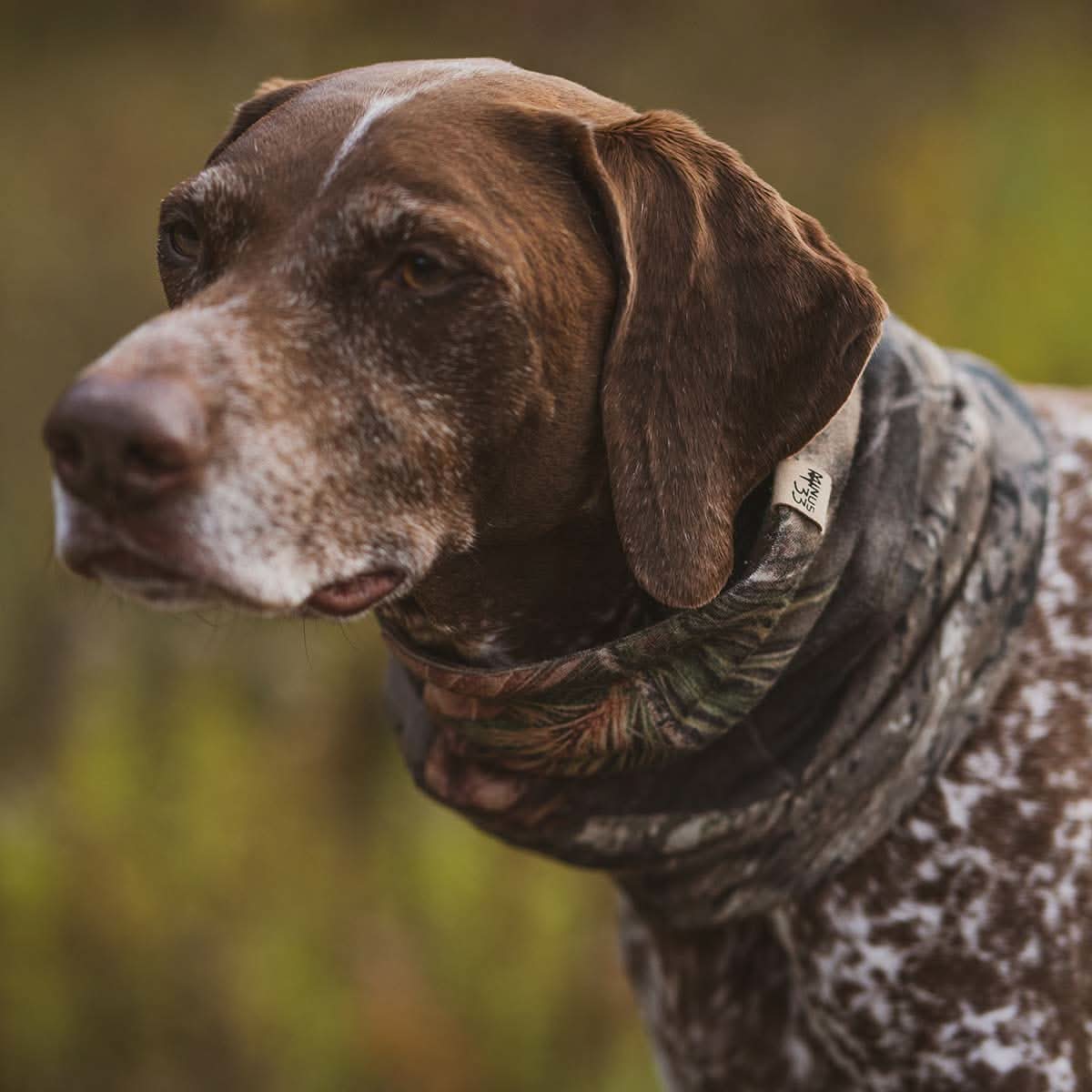 Midweight Wool Neck Gaiter - 100% Merino Wool