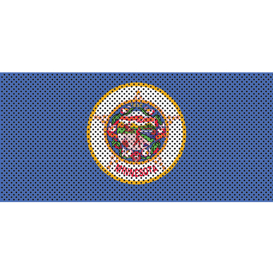 Minnesota State Flag