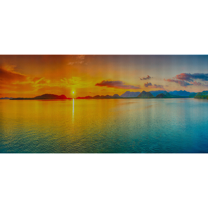 Sunset Collection Grille Inserts