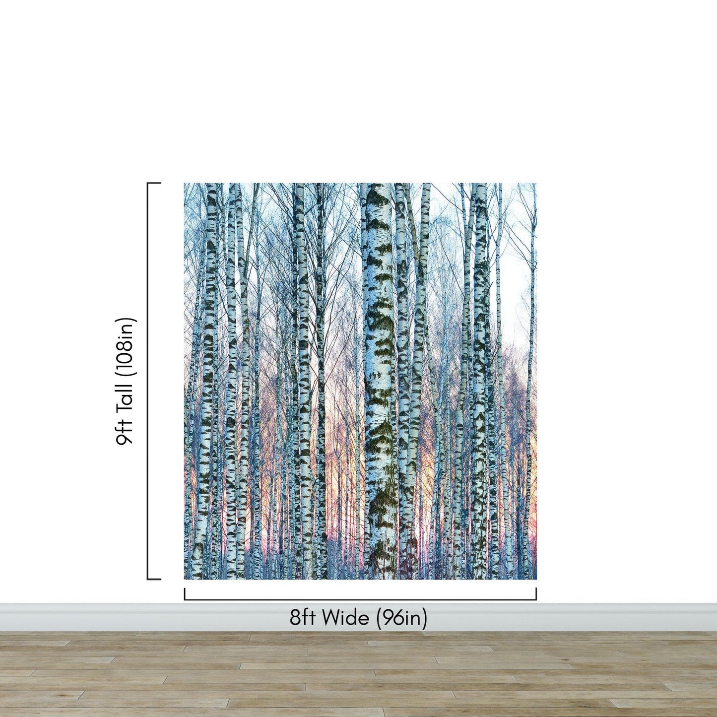White Birch Tree Forest Wall Mural Wallpaper. Sunset Scenery. #6246