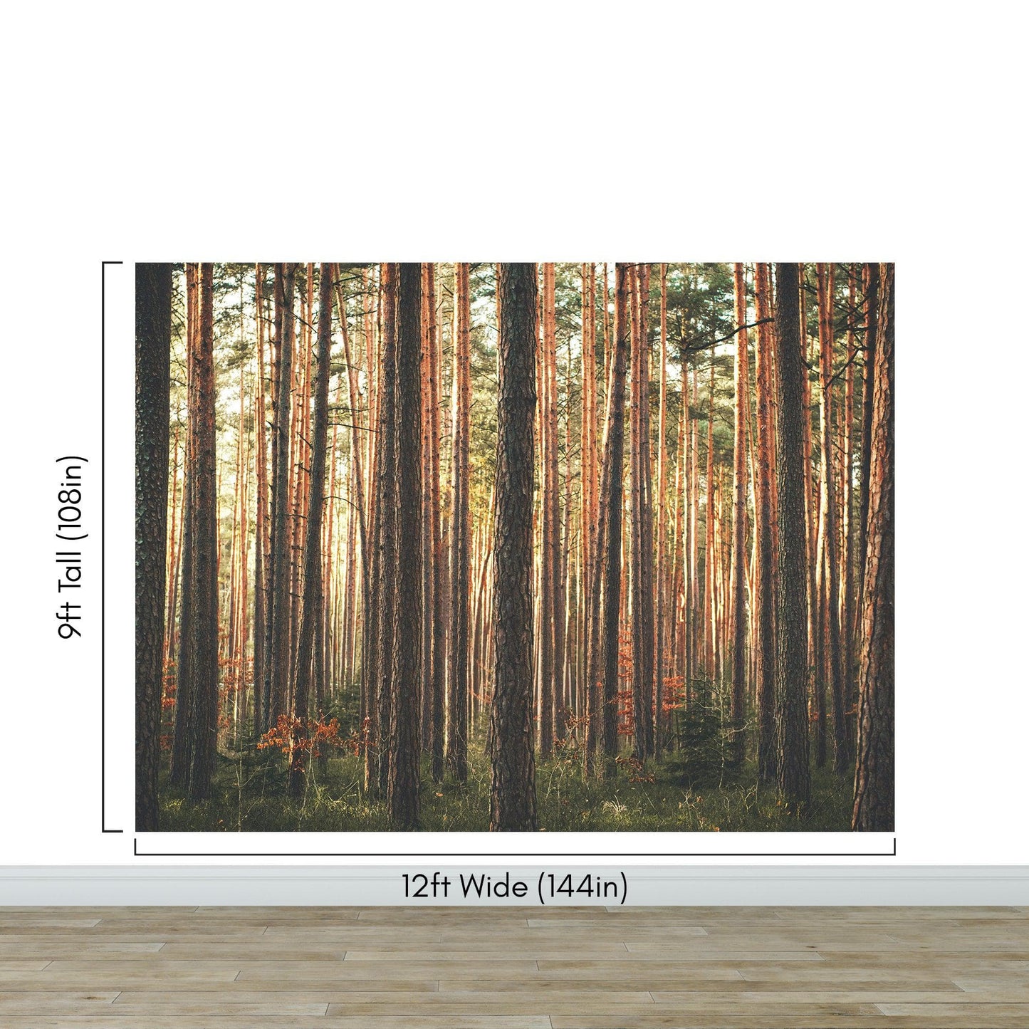 Forest Wallpaper Mural. Woodland Country Theme / Farmhouse Wall Decor. #6777