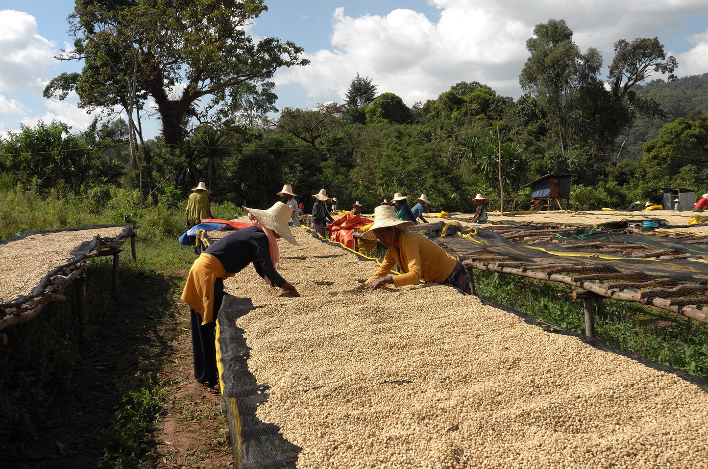 Ethiopia Genji Challa