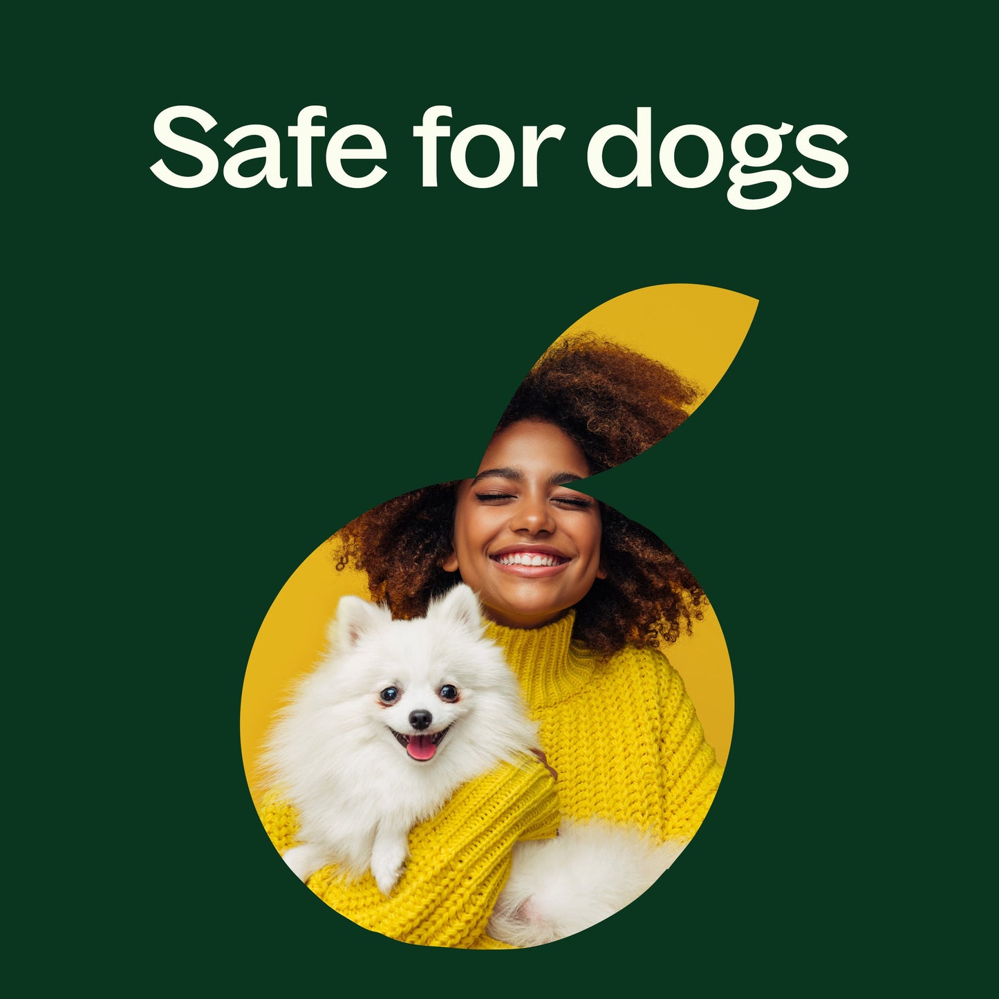 Niaouli 1,8-Cineole Essential Oil