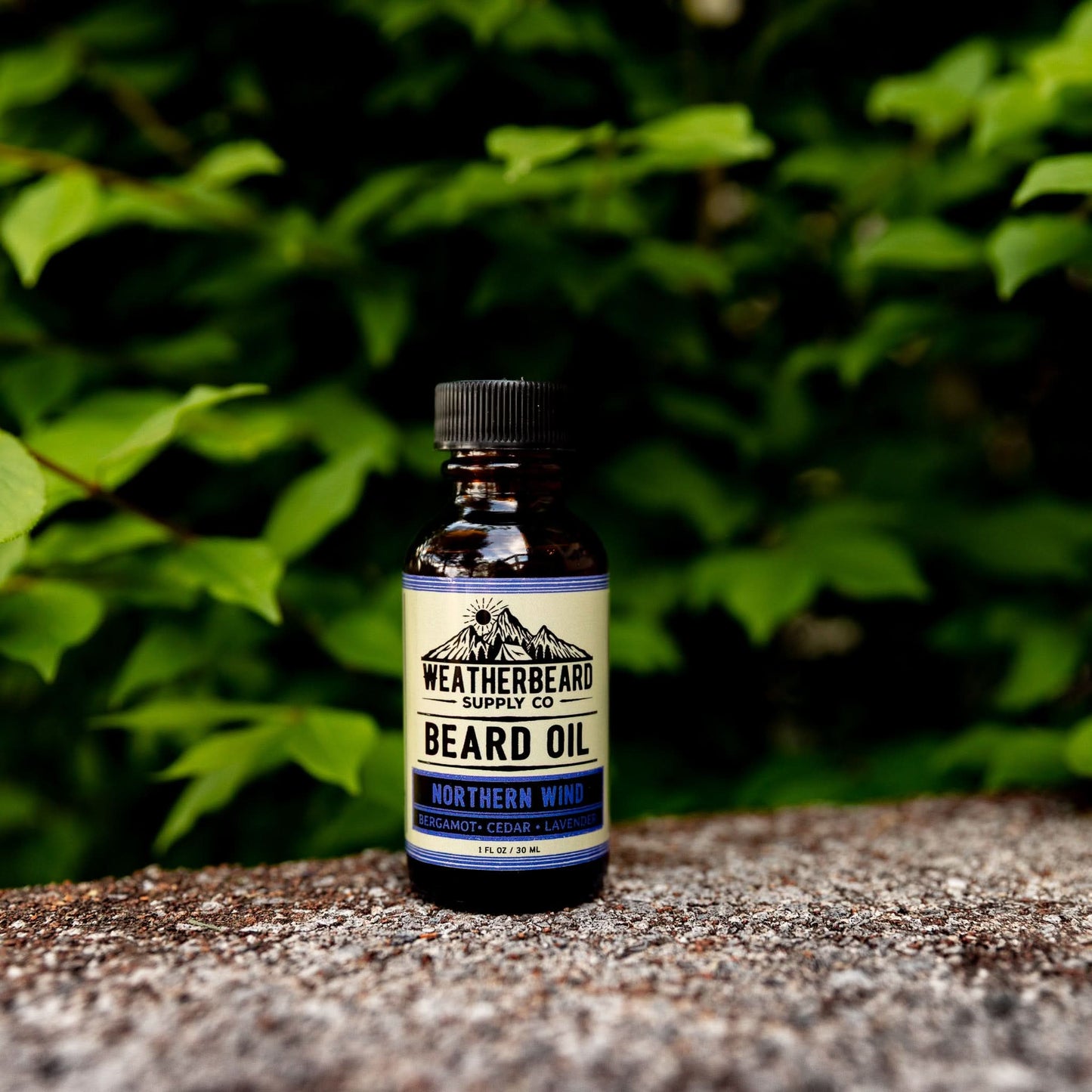 Northern Wind Beard Oil - Bergamot, Cedar, Lavender