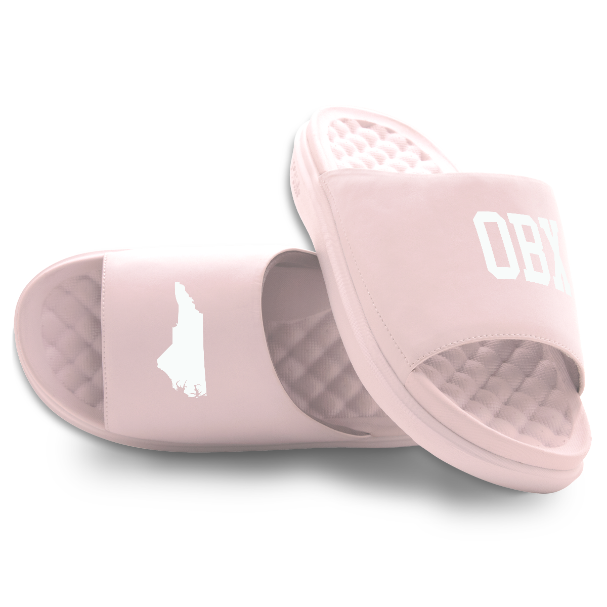 Outer Banks North Carolina Outline Motive