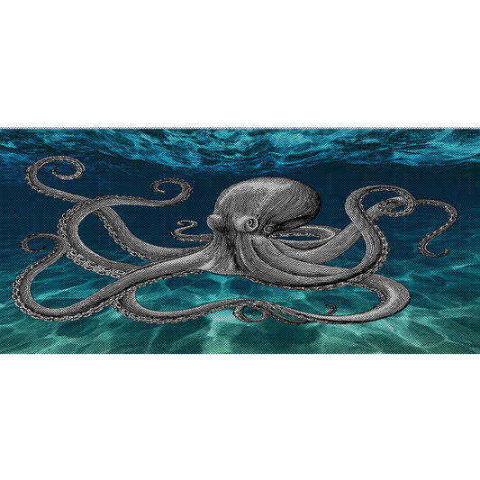 Octopus