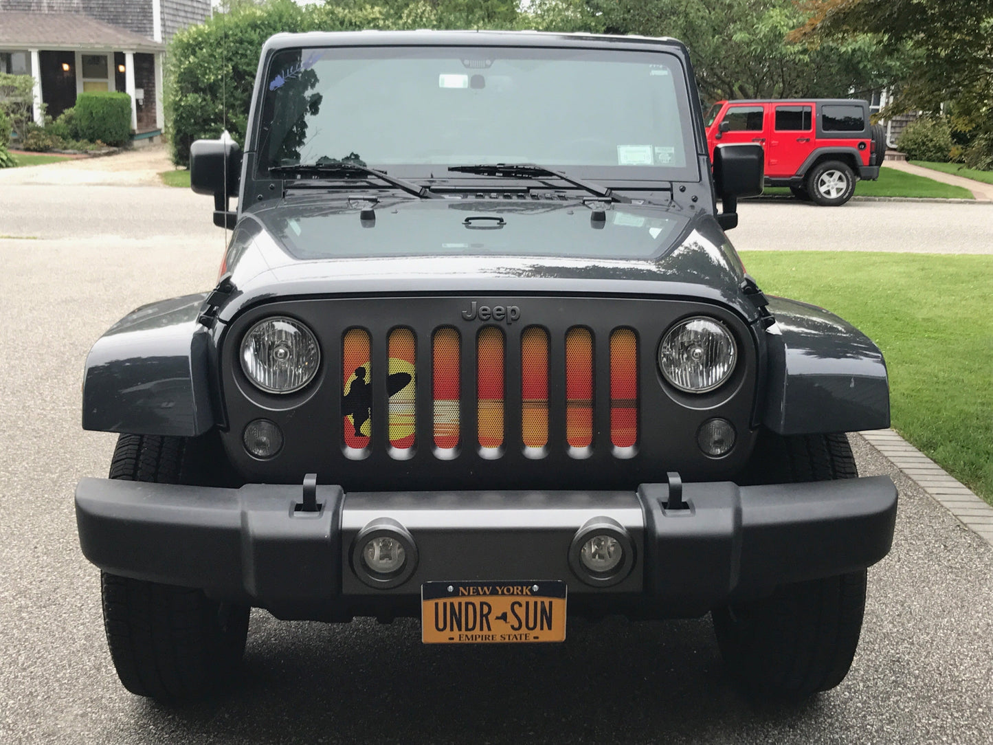 Endless Summer Collection - Surfer Guy Grille Inserts