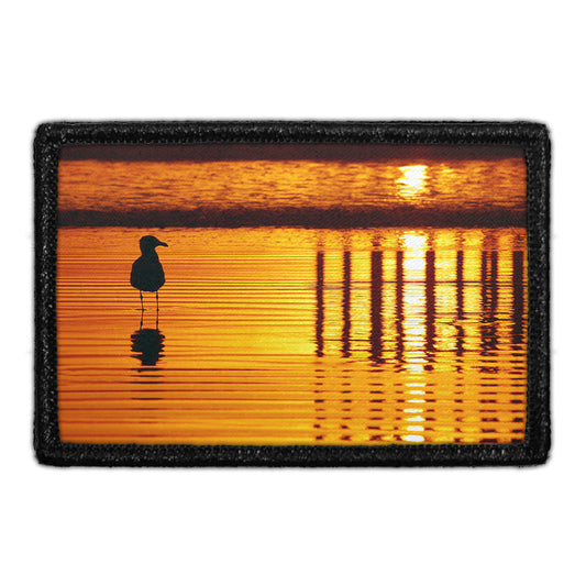 Sunset Seagull - Hermosa Beach, California - Patch