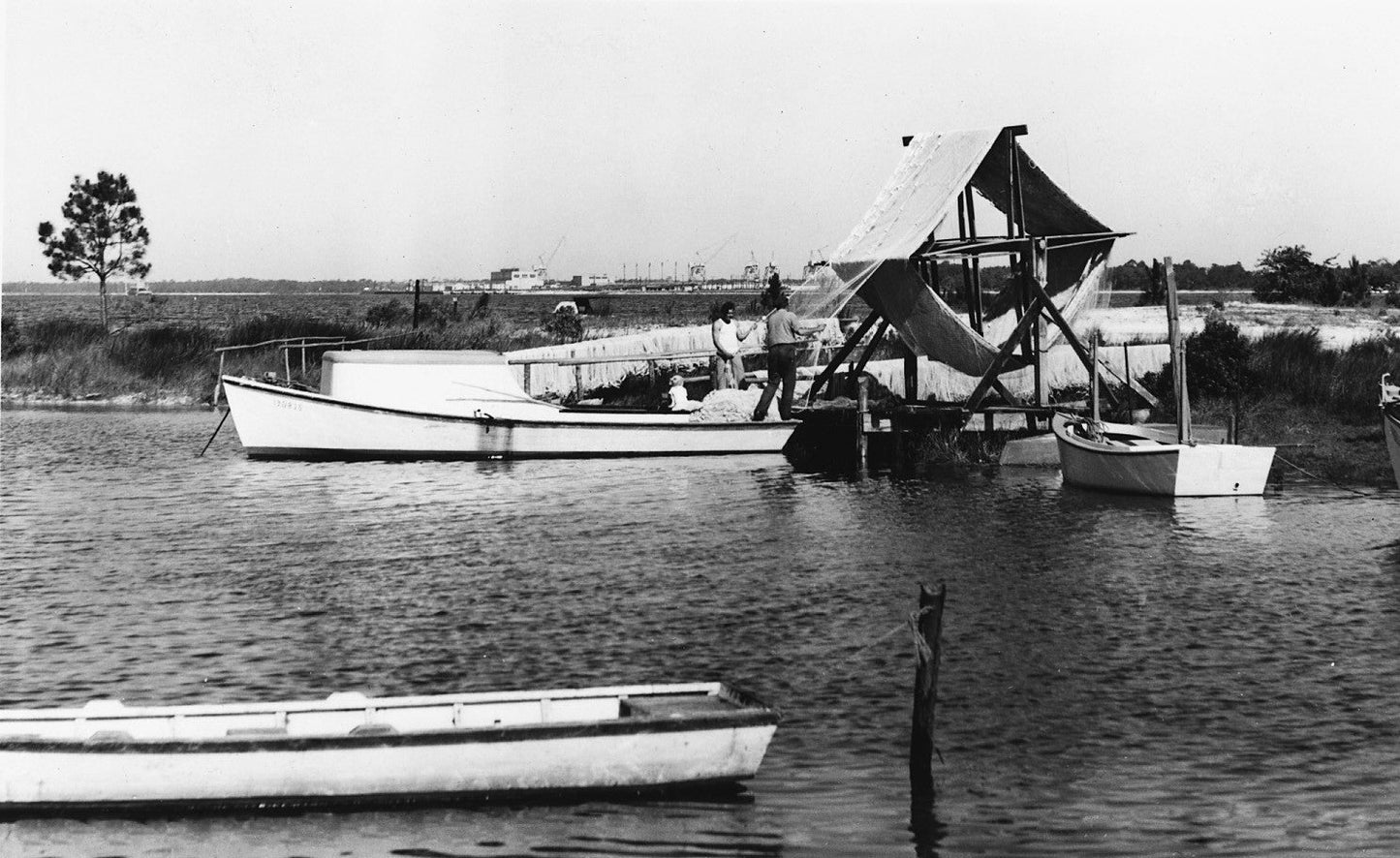 Celebrating Bay's Beginning: A Pictorial Retrospective of Bay County, Florida 1900s - 2000s