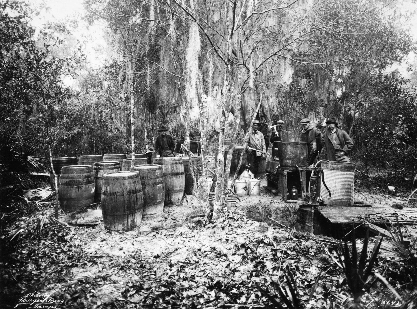 Celebrating Bay's Beginning: A Pictorial Retrospective of Bay County, Florida 1900s - 2000s