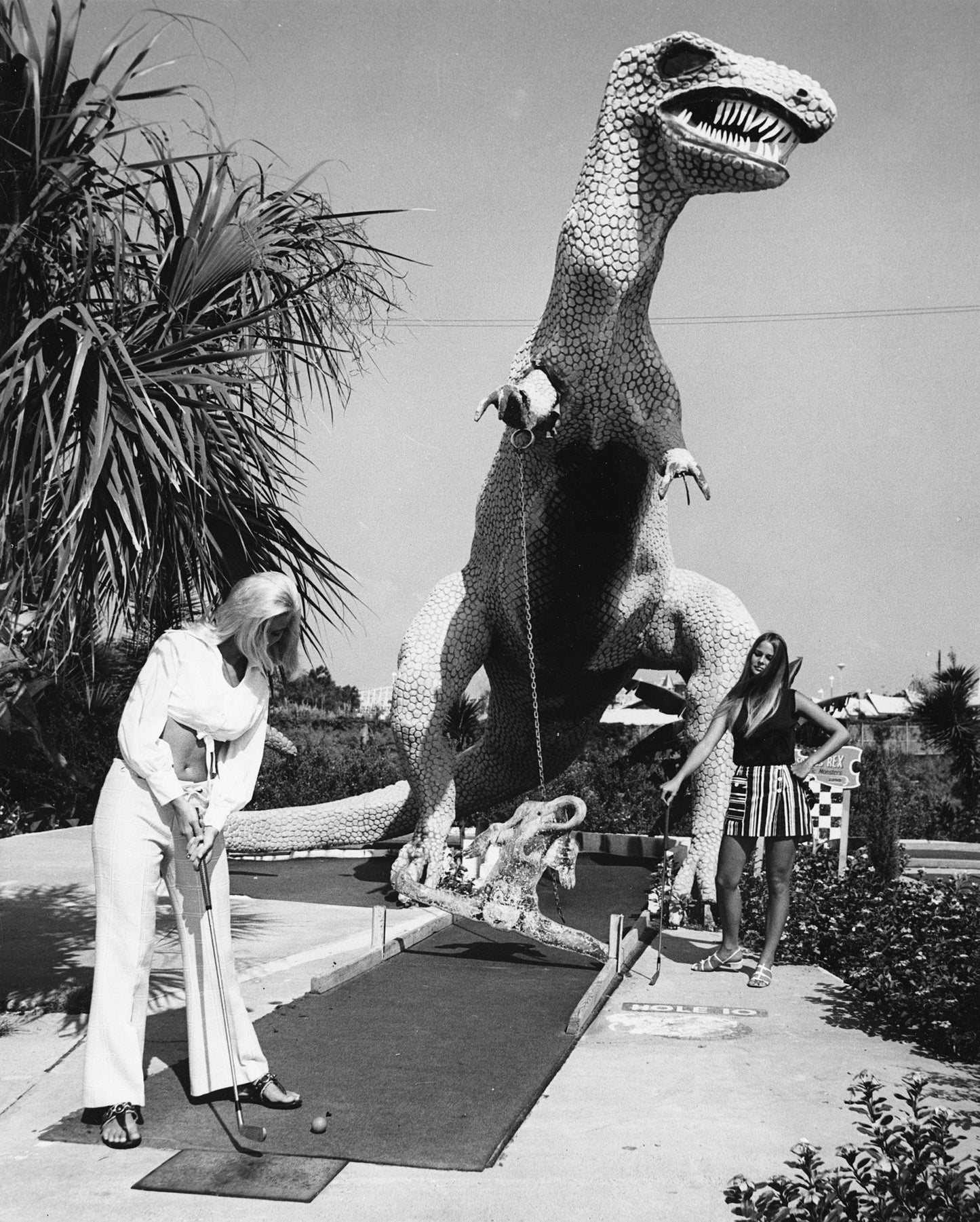 Celebrating Bay's Beginning: A Pictorial Retrospective of Bay County, Florida 1900s - 2000s