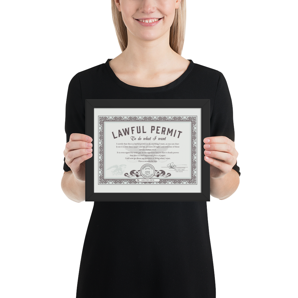 Framed Permit to Do What You Want
