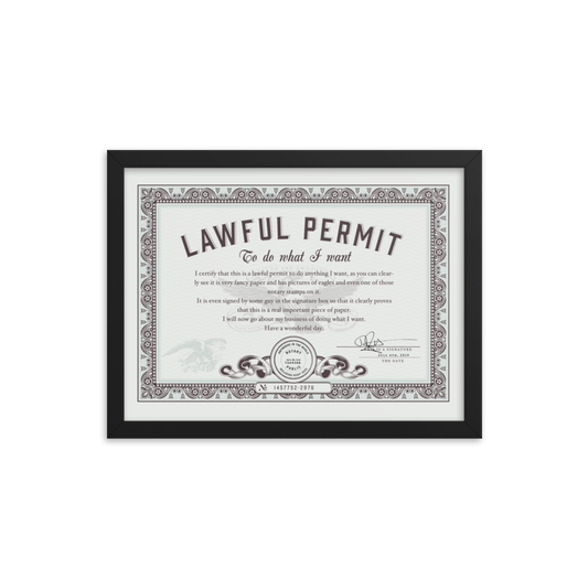 Framed Permit to Do What You Want