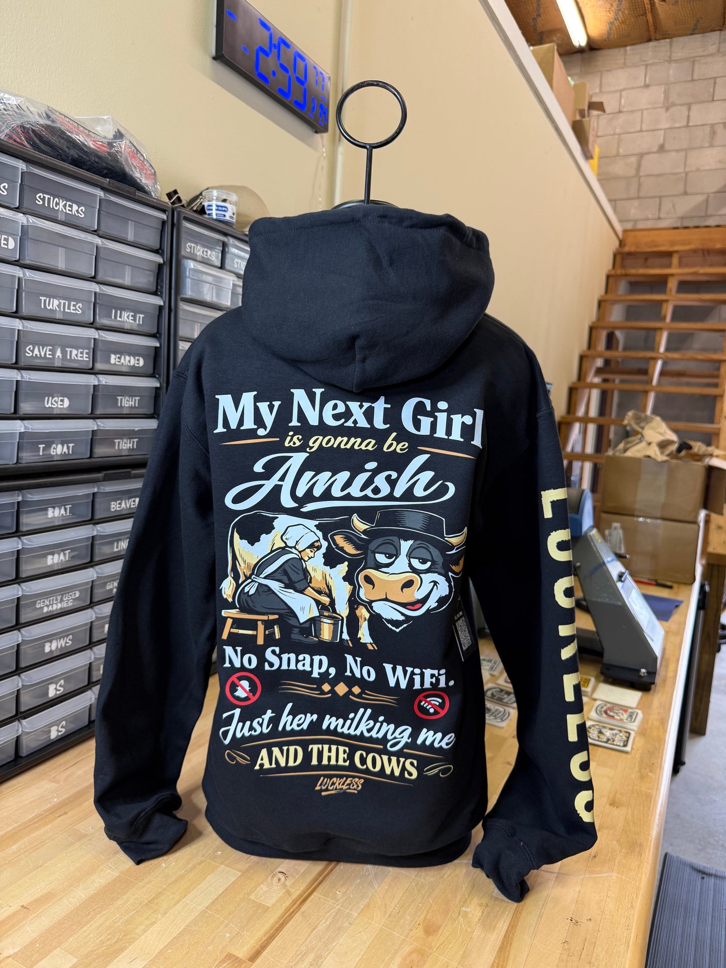 My Next Girl Is Gonna Be Amish Hoodie