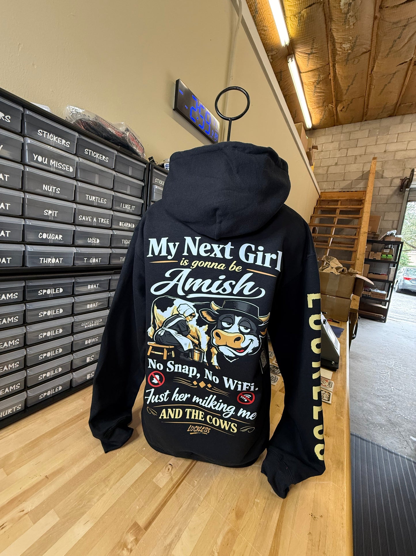 My Next Girl Is Gonna Be Amish Hoodie