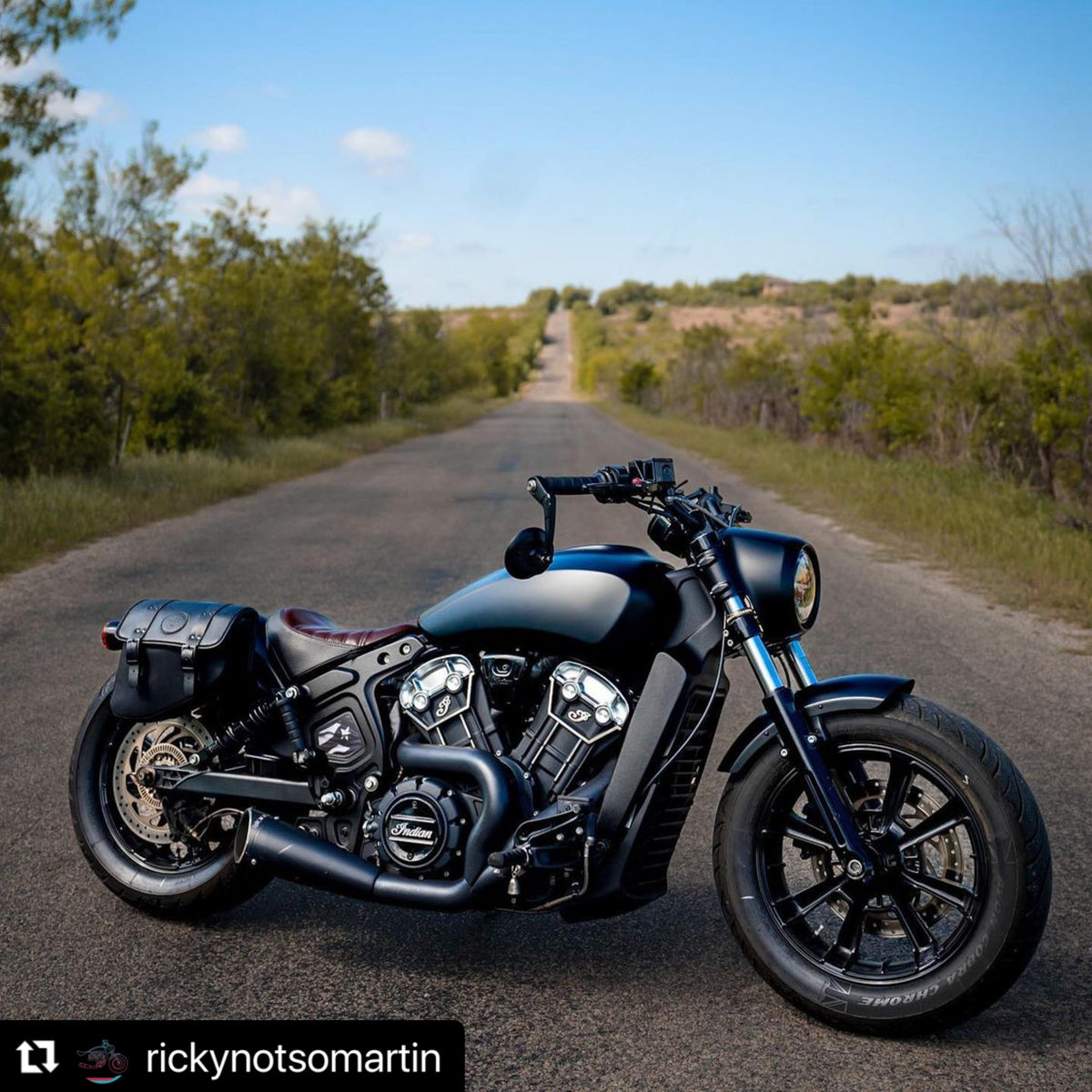 Indian Scout Mid-Frame Insert - Puerto Rico Flag