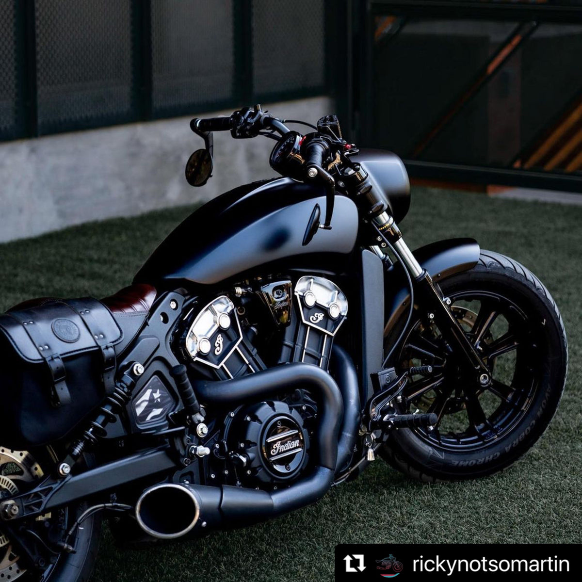 Indian Scout Mid-Frame Insert - Puerto Rico Flag