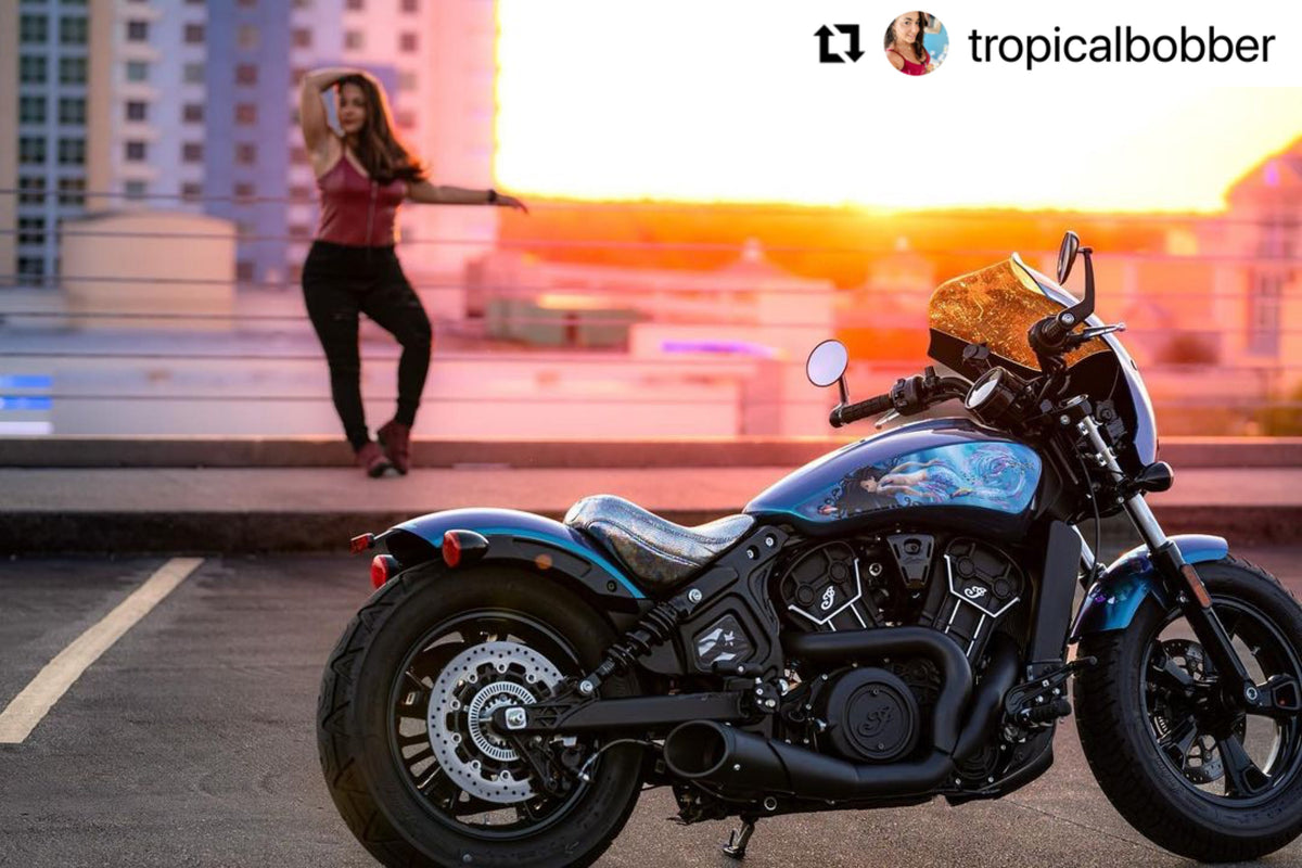 Indian Scout Mid-Frame Insert - Puerto Rico Flag