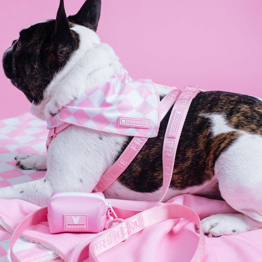 Frenchie Cooling Bandana - Solid Pink Bubblegum Checkered