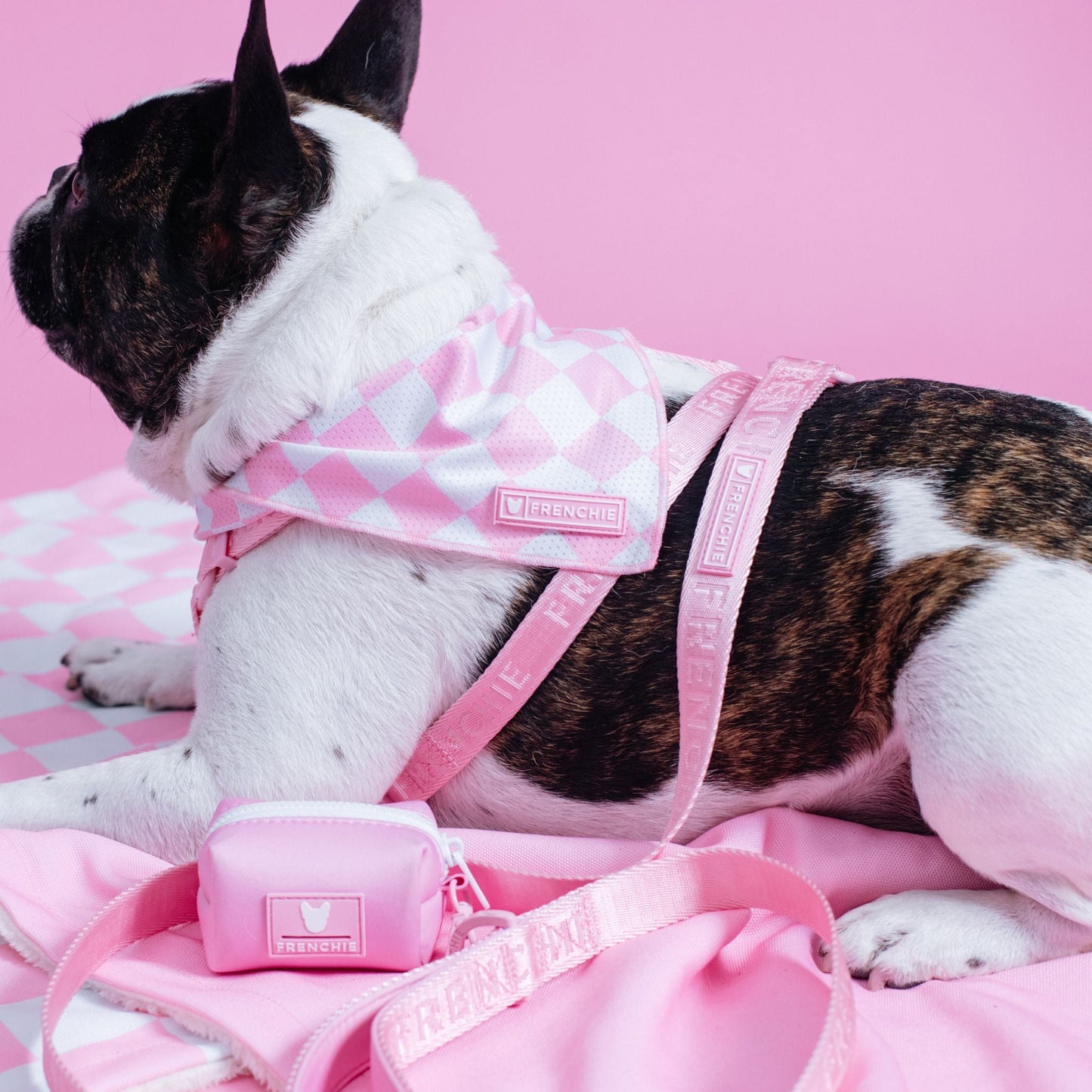 Frenchie Poo Bag Holder - Solid Pink Bubblegum