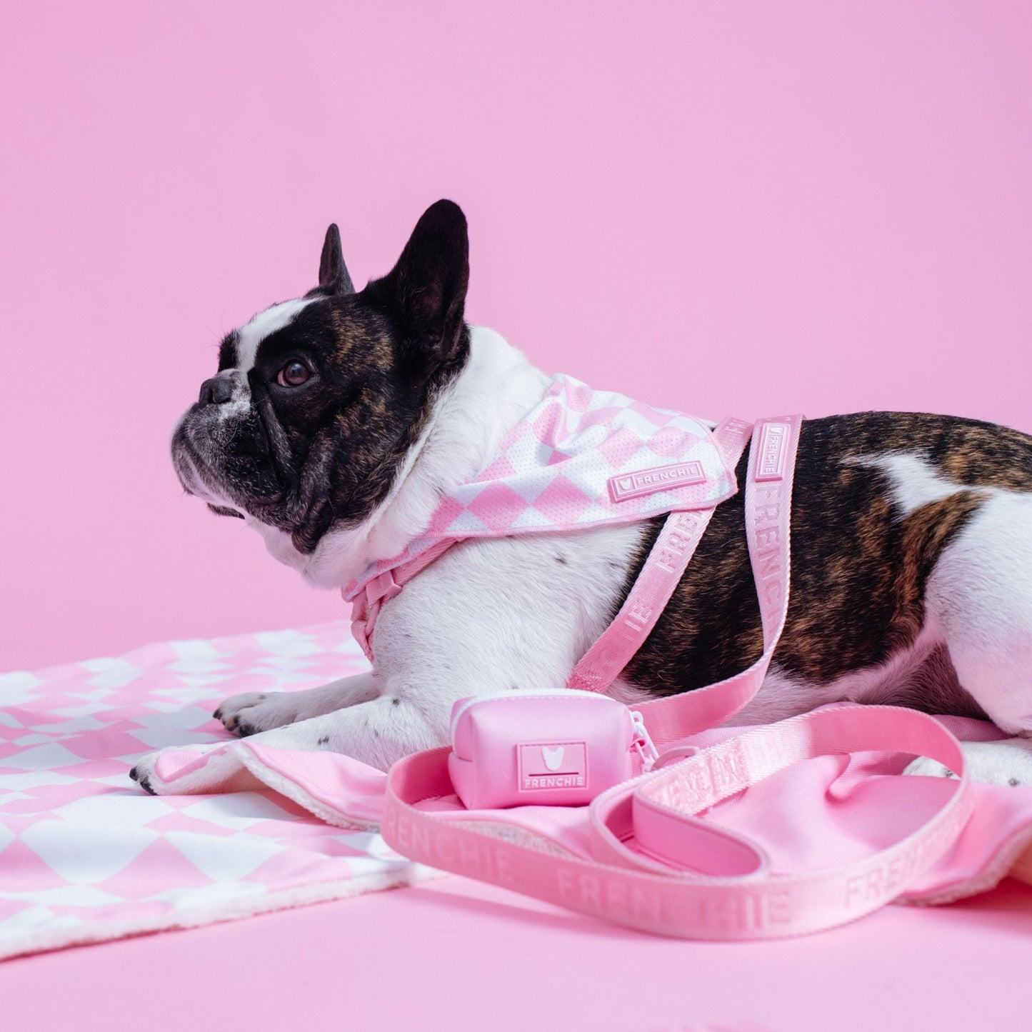 Frenchie Cooling Bandana - Solid Pink Bubblegum Checkered