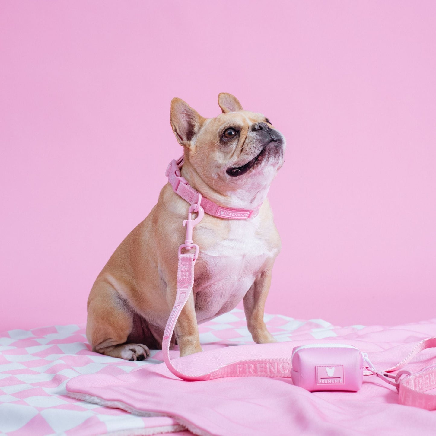 Frenchie Poo Bag Holder - Solid Pink Bubblegum