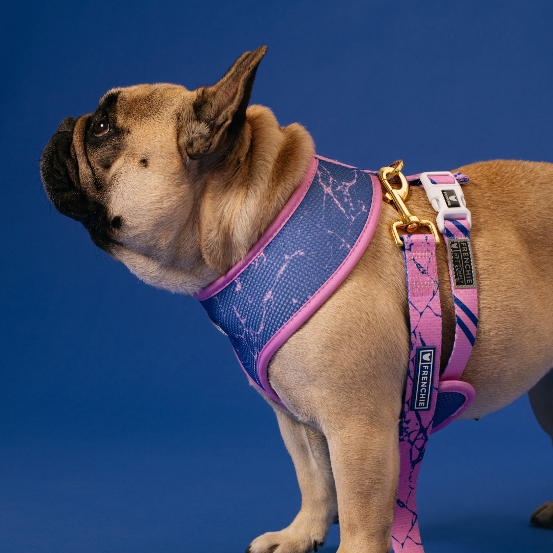 Frenchie Duo Reversible Harness - Pink Marble