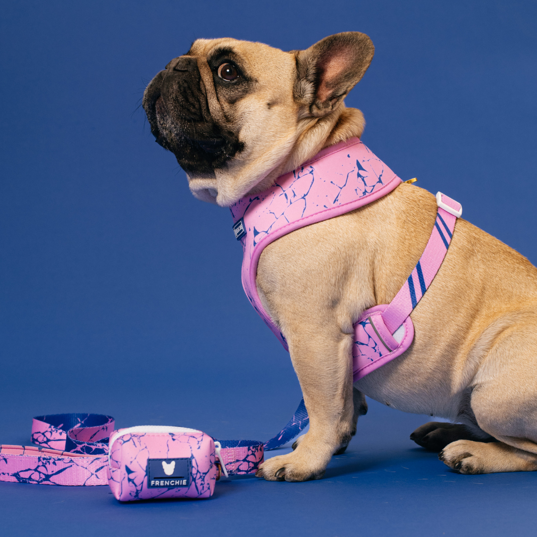 Frenchie Duo Reversible Harness - Pink Marble