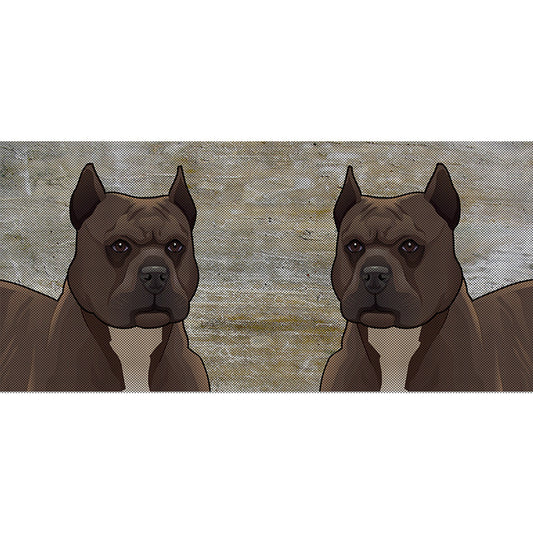 Pit Bull