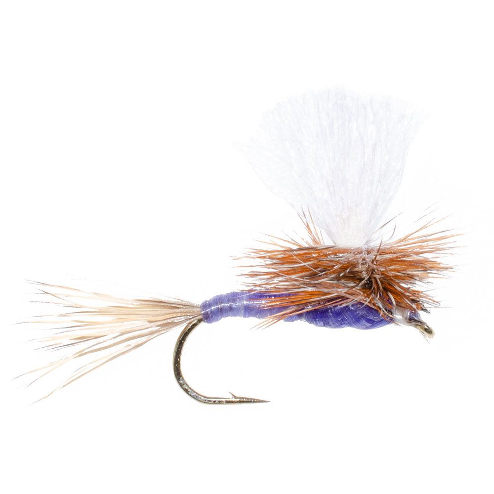 Parachute Purple Haze Dry Fly - 12 Flies Size 12
