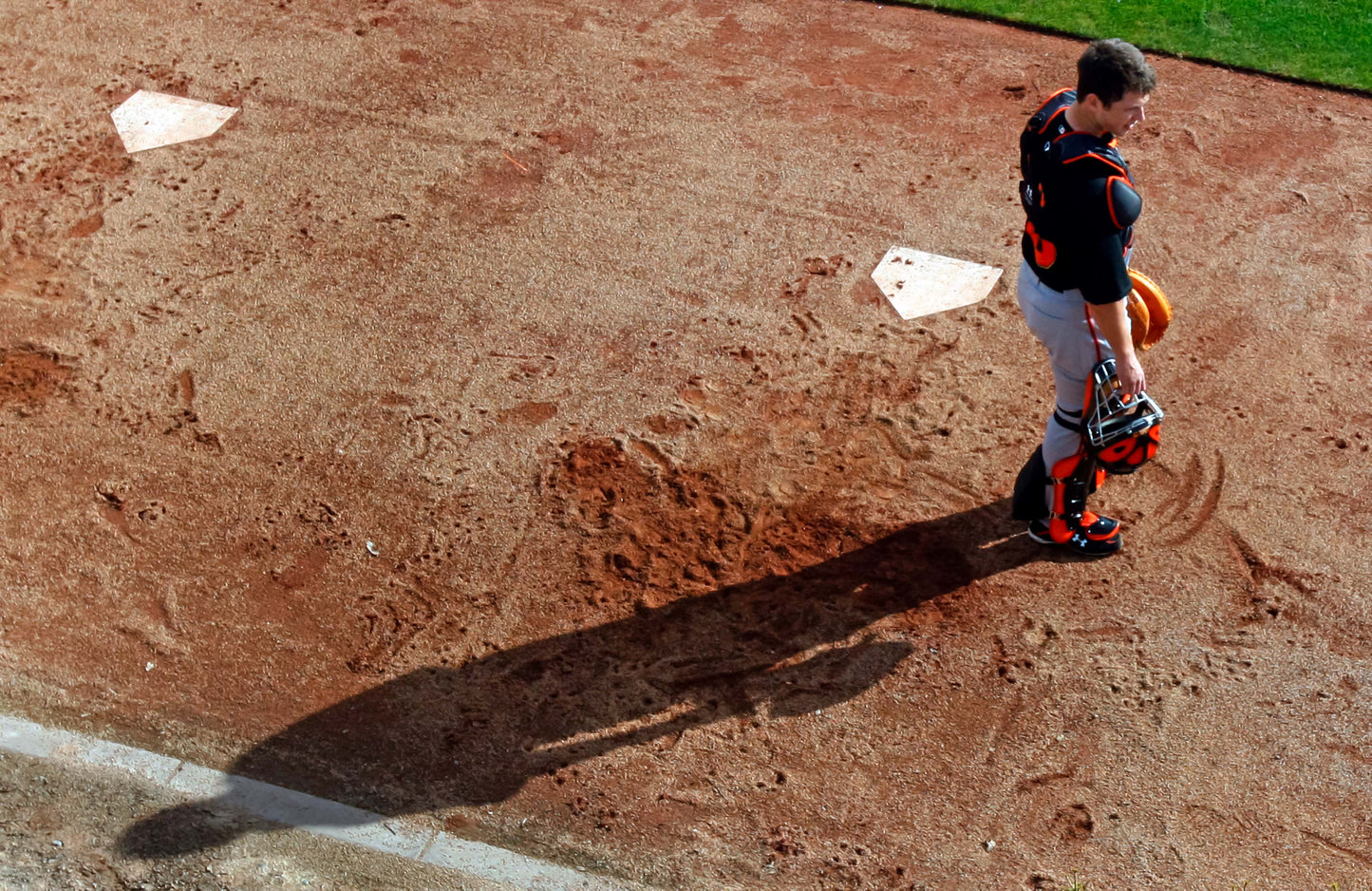 Buster: The Legendary Career of the San Francisco Giants’ Buster Posey