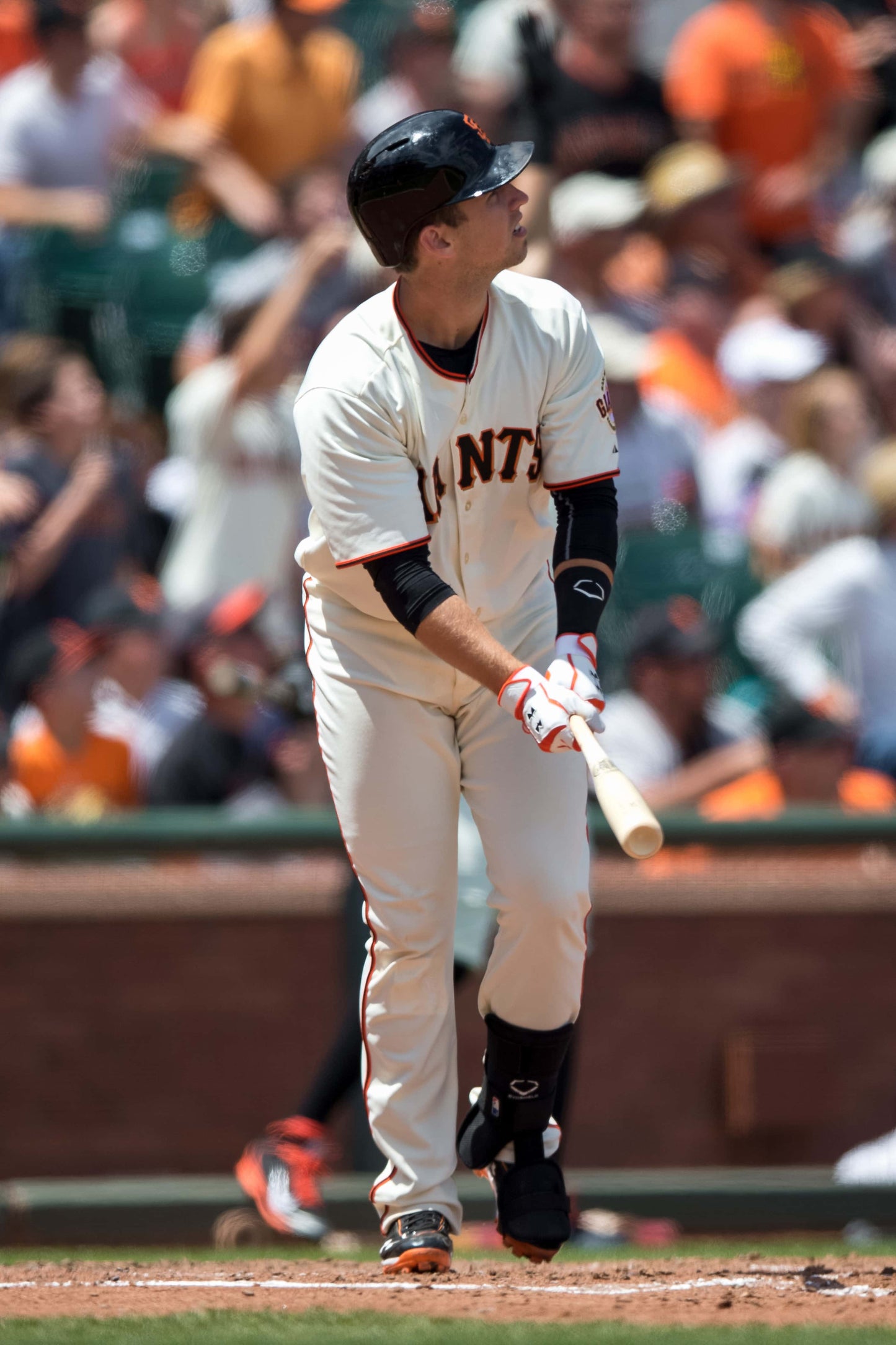 Buster: The Legendary Career of the San Francisco Giants’ Buster Posey