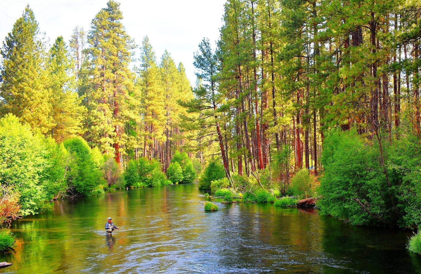 3 Pack Tungsten Bead Soft Hackle Pheasant Tail Tactical Jig Czech Nymph Euro Nymphing Fly - Hook Size 14