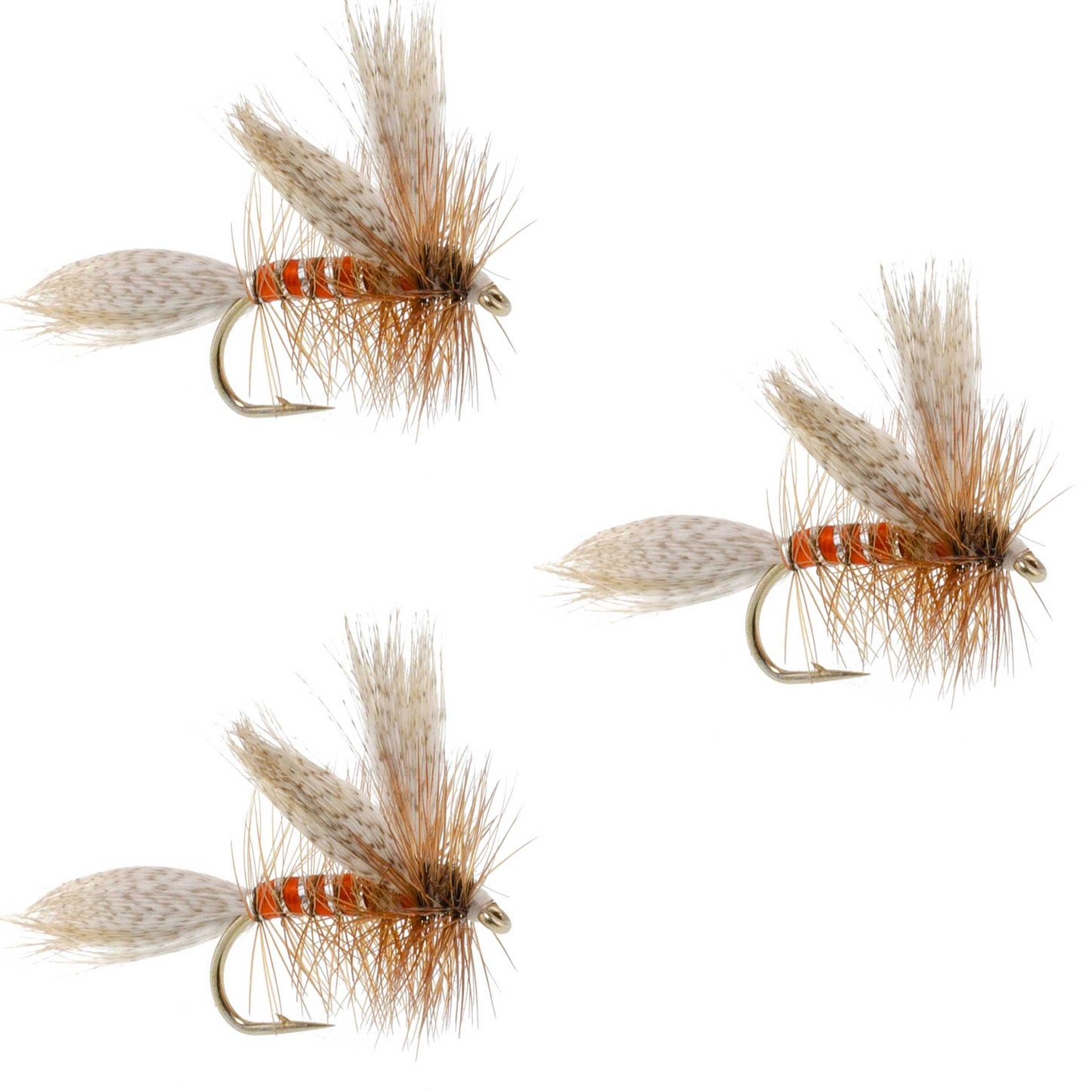 3 Pack Queen Of The Waters Classic Dry Fly - Size 12