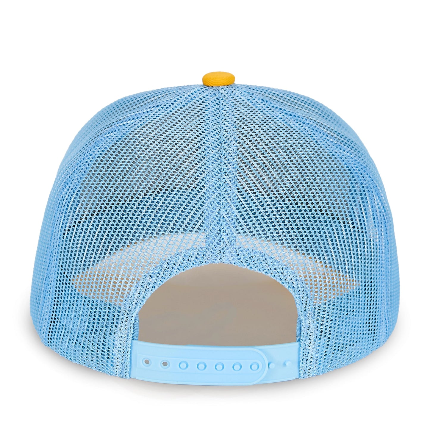 The Ray Bird Snap Trucker