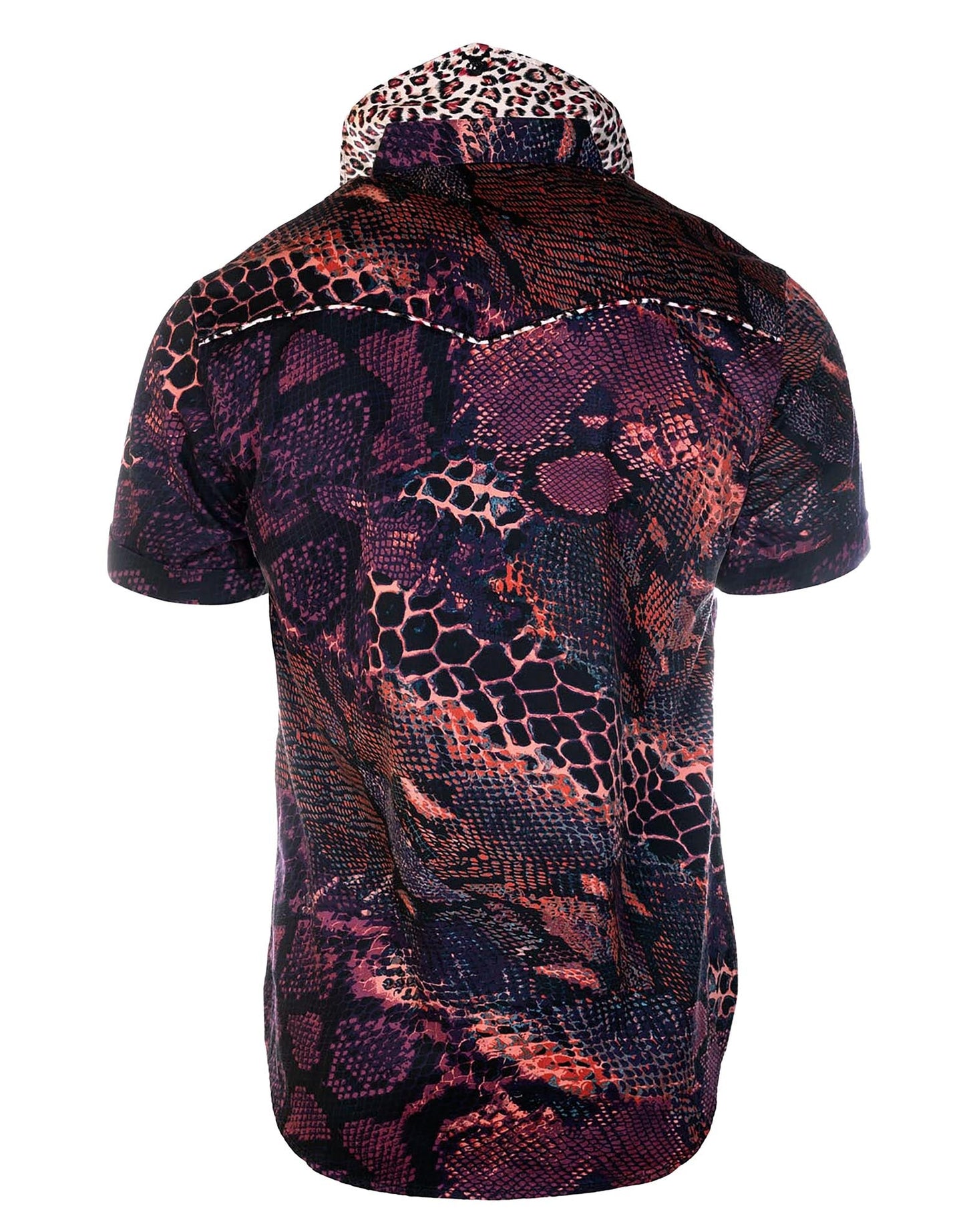 S/S Tube Snake Boogie