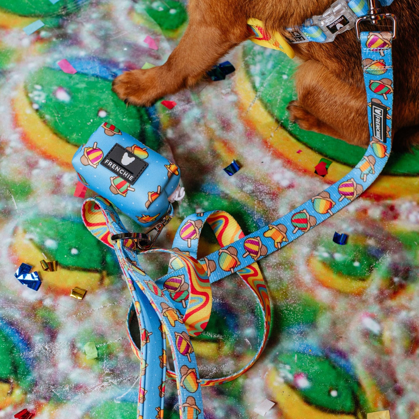 Frenchie Comfort Leash - Rainbow Ice